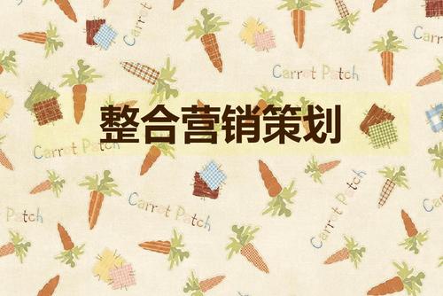 文学 整合营销策划课件12周ppt 第1页 你可能喜欢 市场营销策划考
